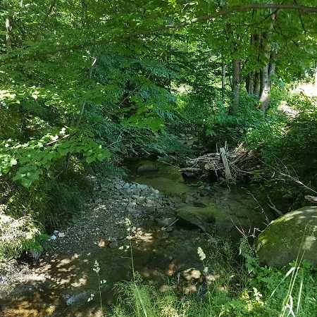 Lesniczowka W Beskidach Domek Drewniany W Lesie * Bystra (Bielsko)