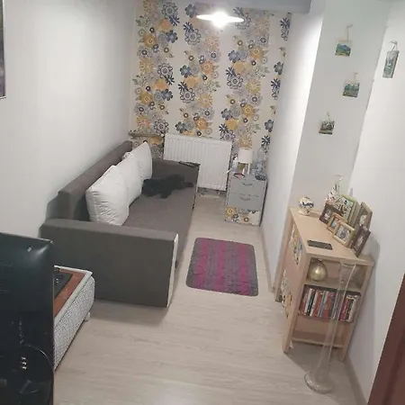 Lesniczowka W Beskidach Domek Drewniany W Lesie * Bystra (Bielsko)